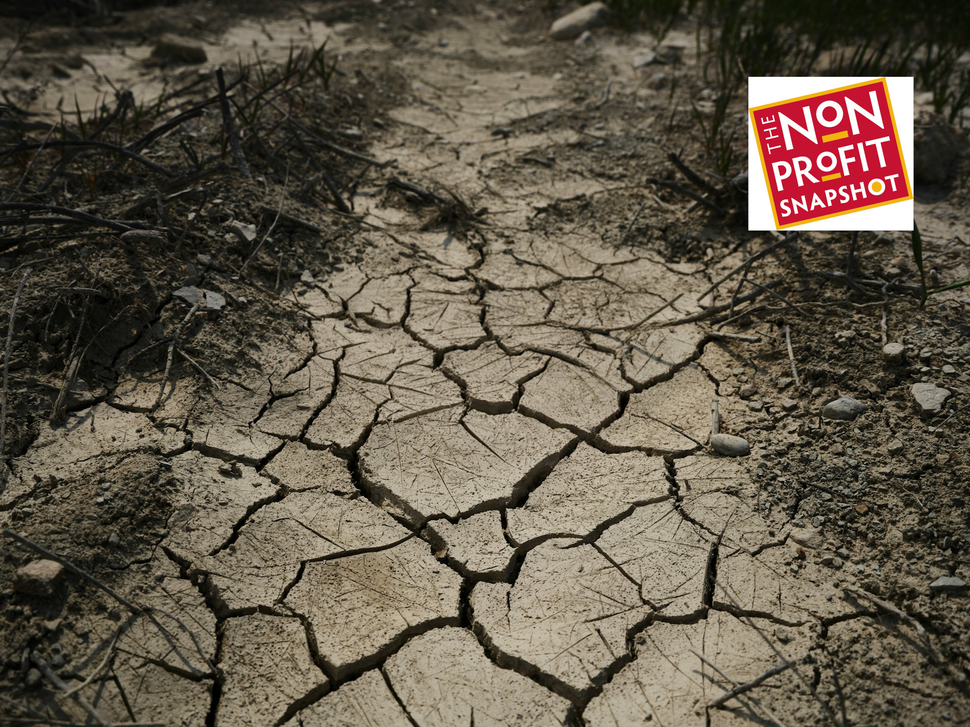 When Mission Meets Math: Navigating a Nonprofit Financial Crisis Without Losing Yourself (or the Organization)