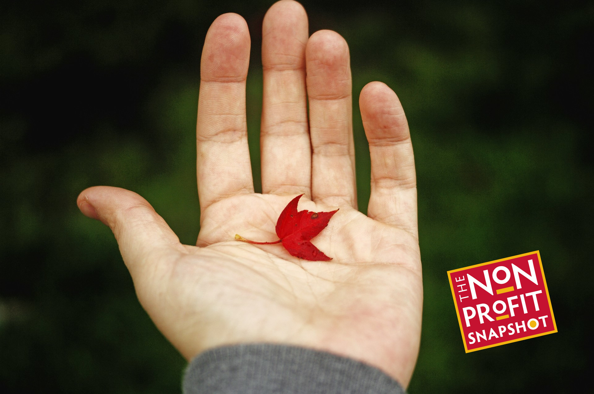 Staying Connected: Low-Effort Ways Nonprofits Can Keep Donors Engaged